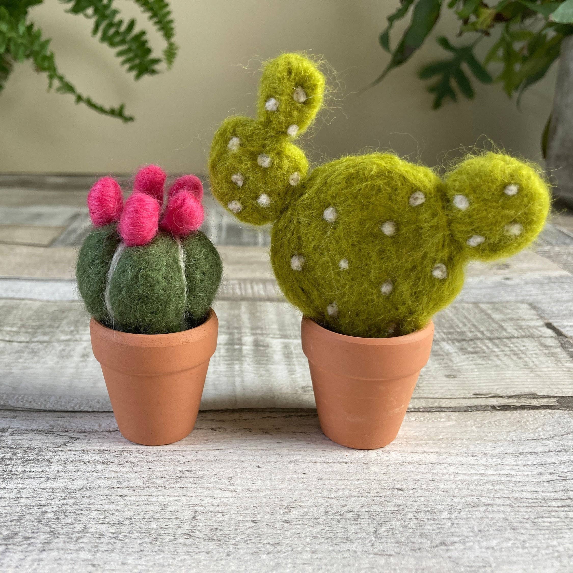 Kit de fieltro con aguja "Cactus" - Bergin & Bath - Image 3