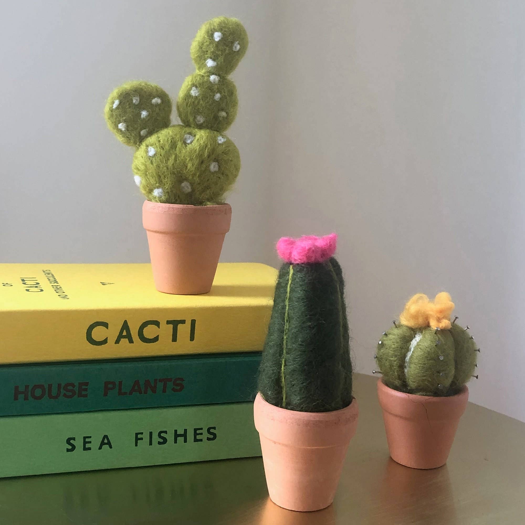 Kit de fieltro con aguja "Cactus" - Bergin & Bath - Image 5