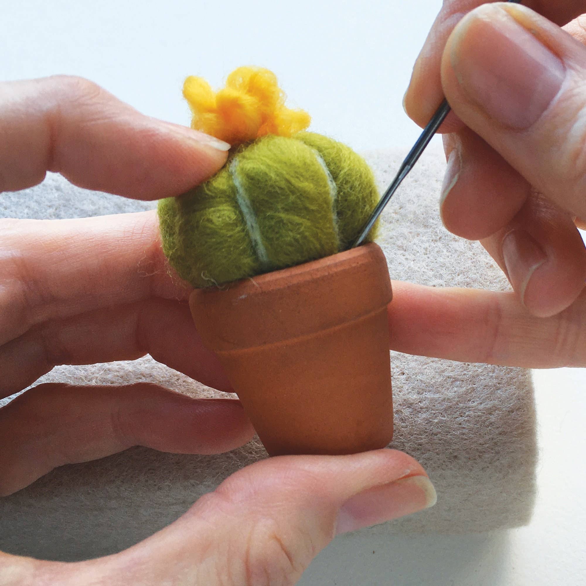 Kit de fieltro con aguja "Cactus" - Bergin & Bath - Image 8